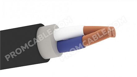 ВВГнг(А)-ХЛ 2х4,0 - 0,66 фото