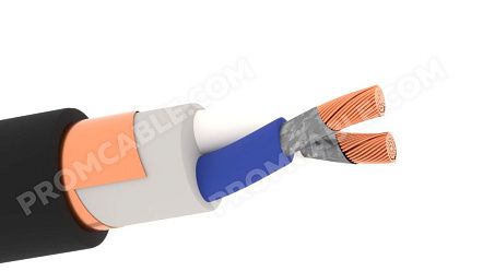 ВВГЭнг(А)-FRLSLTx 2х120 - 1кВ фото